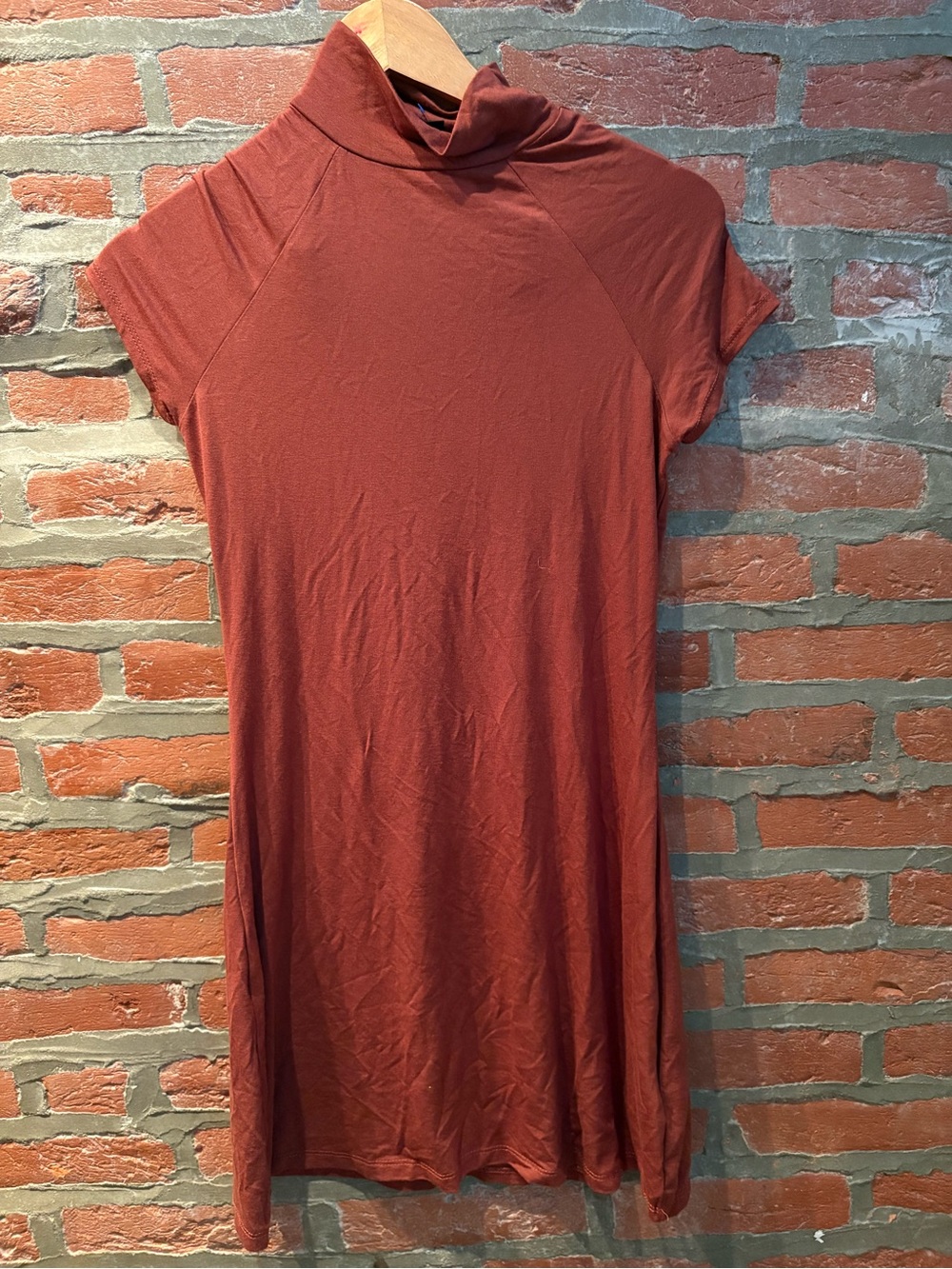 silence + noise Rust Turtleneck Short Sleeve Dress